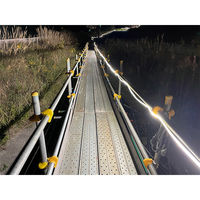 スズデン販売　高照度帯ライト 10m巻 AC100V　6300033791　1巻（直送品）