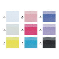 キャプテン CAPTAIN88 オーガンジーフラットバイアス CP225 #2 1セット（9枚）（直送品）