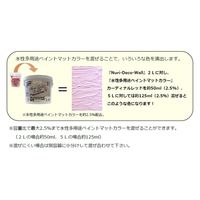 アサヒペン AP Nuri-Deco-Wall ヌリデコウォール 5L ホワイト 9019051 1個（直送品）