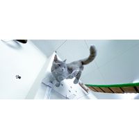 タカラ産業 タカラ PC4022-3S キャットステップ3枚セット 1セット(3枚)（直送品）