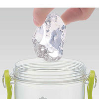 スケーター 水筒 ディノサウルス 恐竜 直飲み プラスチック 480ml 子供 302432 1個（直送品）