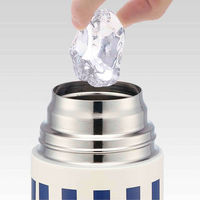 スケーター 水筒 ステンレス 直飲み ワンタッチ ダイレクトステンボトル PEANUTS ストライプ スヌーピー 990ml 332202（直送品）