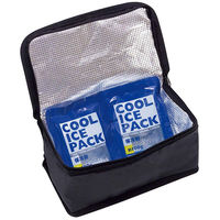 スケーター ランチバッグ 保冷 2段弁当用 保冷剤付き 161604 1個（直送品）