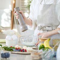 BRUNO スタンドハンディブレンダー　 BOE096ーGRG BOE096-GRG 1台