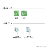 パナソニック 音波振動ハブラシ ドルツ EW-DM63-W 1台