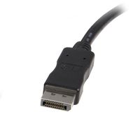 DisplayPort - DVI-D 変換ケーブル 3m DP2DVIMM10 1本 Startech.com