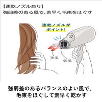 パナソニック（Panasonic） ヘアードライヤー ナノケア ゴールド EH-NA9G-N 1台