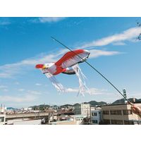 高芝ギムネ製作所 龍宝丸 K-901 鳥追い 暴れん坊タカ 1袋（直送品）