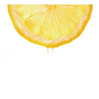 ミントハウス 業務用　ストレート100％レモン果汁(非濃縮還元) 222612 1ケース　290ml×12本　常温（直送品）