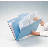 ライオン事務器 ダブルフォルダー A4判 No.61 ピンク 13235 1セット(10冊)