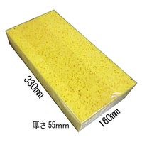 アイガーツール アイガー NO1 特大スポンジ 1個