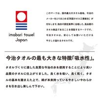 林 フェイスタオル 日本製(今治) やわらか ボーダー ブラウン(茶) FI207026 1セット(同色2枚入)