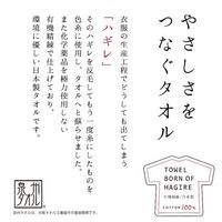 林 フェイスタオル 日本製(泉州) リサイクルコットン グリーン(緑) FM201204 1セット(同色2枚入)