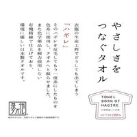 林 フェイスタオル 日本製(泉州) リサイクルコットン ブルー(青) FM201201 1セット(同色2枚入)