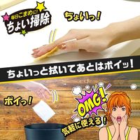 レック 激落ちくん ちょい掃除シート ノンアル除菌 S00709 2個