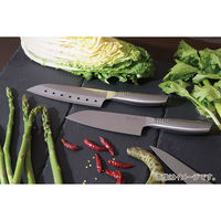 パール金属 包丁 三徳 オールステンレス 165mm 食洗機対応 FN-126 シェフズスティーレ クール 4582681001263 1個