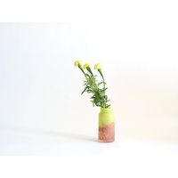 ホワイエ DGボトルベースφ7.5(5.5)xH15.5(2) ピンクグリーン 2C00038PKG 1個（直送品）