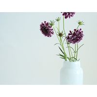 ホワイエ DGボトルベースφ7.5(5.5)xH15.5(2) ホワイト 2C00038WH 1個（直送品）