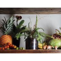 ホワイエ AMシリンダーポットBK H11.5 3u00064BK 1個（直送品）