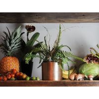 ホワイエ AMシリンダーポットGL H11.5 3u00064GL 1個（直送品）