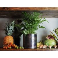 ホワイエ AMシリンダーポットBK H17.5 3u00066BK 1個（直送品）