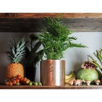 ホワイエ AMシリンダーポットGL H17.5 3u00066GL 1個（直送品）