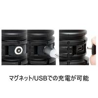 オーストリッチインターナショナル LEDライト(POWERTAC WORRIOR G4ーFL) G4-FL 1個 4-2754-11（直送品）