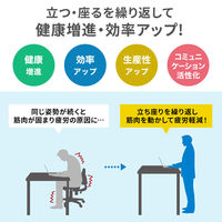 サンワサプライ ガス昇降デスク 幅1200×奥行600×高さ683～1070mm ホワイト×ホワイト ERD-G12060W 1台（直送品）