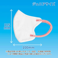 立体フェイスラインマスク 7枚入 ジュニア 白×ローズ 3袋セット RFK-WR-AS 1セット（3袋） エスパック（直送品）