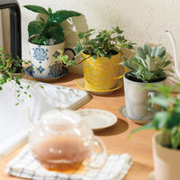 ヘッズ ハンドメイドプリントフラワーポット-11(2個) HNP-FPO11 1セット(4パック×2個)（直送品）