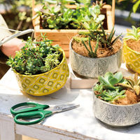 ヘッズ ハンドメイドプリントフラワーポット-22(1個) HNP-FPO22 1セット(4パック×1個)（直送品）