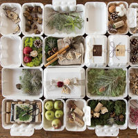 ヘッズ パルプモウルドギフトBOX-M/ホワイト-2(10枚) PMW-GM2 1セット(5パック×10枚)（直送品）