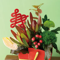 ヘッズ 和風アクリルピック-1/寿(10本) WA-PFP1 1セット(5パック×10本)（直送品）