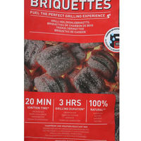 Weber 17590 Weberブリケット(炭) 4kg 00234381 1袋（直送品）