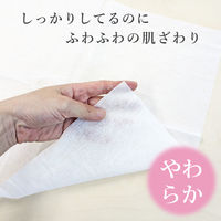 【からだふき】不織布ドライタオル【からだ拭き/衛生/清拭/1パック/少量】