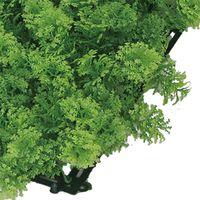 ホワイエ GMモフモフグリーンハーブ 50x50cm 6100027 1個（直送品）