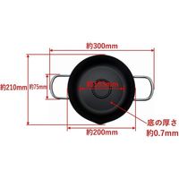 高儀 TAKAGI 両手天ぷら鍋アミ付き 20cmガス火専用 4907052852099 1個（直送品）