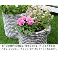 住まいスタイル オールドバスケット バスケット調プランター 円型 小サイズ ホワイト（アンティーク加工） BSPL-255WHT 1個（直送品）