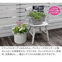 住まいスタイル オールドバスケット バスケット調プランター 円型 大サイズ ホワイト（アンティーク加工） BSPL-330WHT 1個（直送品）