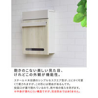 住まいスタイル ルカ 木目調壁掛けポスト 幅300×奥行110×高さ365mm ブルー PST-001BLU 1台（直送品）