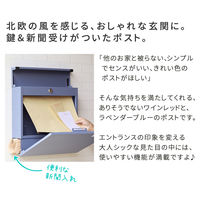 住まいスタイル ミケ 新聞受け付き壁掛けポスト 幅370×奥行105×高さ367mm ラベンダーブルー PST-004BLU 1台（直送品）