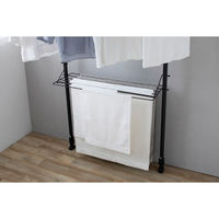 アイリスオーヤマ つっぱり物干し 2本タイプ ブラック TPM-2 1台