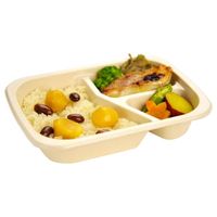 パックスタイル 冷凍エコ弁当容器　BBデリ20-15-3S PETラミ　500枚(50枚×10) 00702095（直送品）