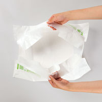 持ち帰り袋 ステイブルバッグバイオ25 乳白 No.60 1000枚(100枚×10) 0482501（直送品）