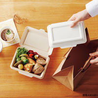 ケーピープラテック KB-51 ホワイト 600枚(50枚×12) 54720 1ケース(600枚入(50枚×12袋))（直送品）