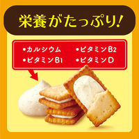 ビスケット クリームサンドクッキー 個包装 お配り菓子 ビスコ 発酵バター仕立て 5枚×3パック入 1セット(1箱×3)