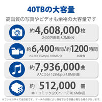 HDD 外付け 40TB 据え置き 5年保証 2big RAID USB-C STHJ40000800 LaCie 1個（直送品）