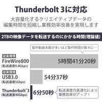 SSD 外付け 4TB ポータブル 5年保証 Rugged SSD Pro 耐衝撃 STHZ4000800 LaCie 1個（直送品）