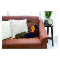 プレーリードッグ cami-no ルーム靴下 くるぶしロングチャコール CAM-204 1足（直送品）