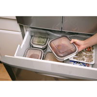 岩谷マテリアル グルラボ マルチセット 電子レンジ 調理器具 オーブン対応 日本製 380706 1個（直送品）